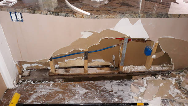 Best Basement water damage restoration  in Carbonville, UT