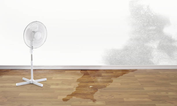 Best Water damage cleanup near me  in Carbonville, UT