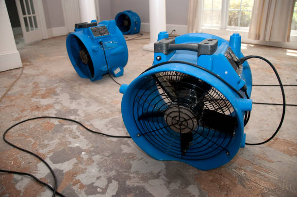 Best Professional water damage repair  in Carbonville, UT