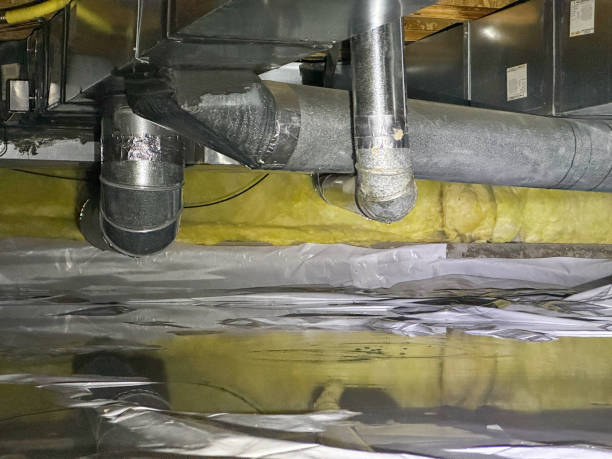 Best Mold removal after water damage  in Carbonville, UT