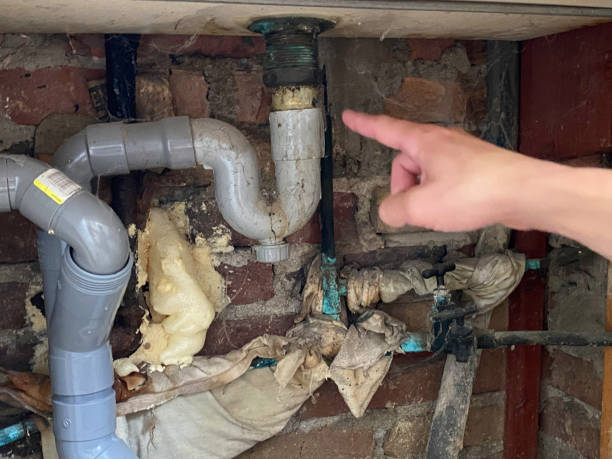 Best Water damage restoration services  in Carbonville, UT
