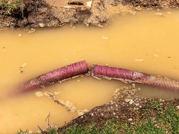 Best Water damage mitigation services  in Carbonville, UT